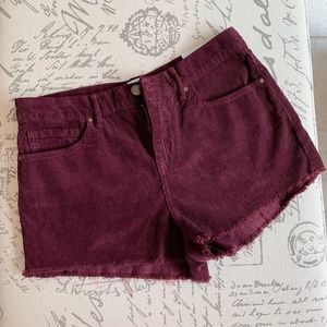 Kendall + Kylie shorts